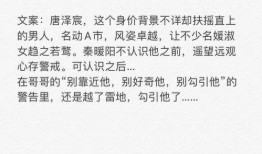 娱乐圈爆料甜宠文推荐