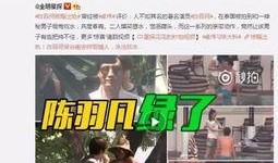 出轨被爆料视频,揭秘明星婚姻危机背后的真相