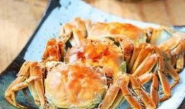 螃蟹热点爆料视频大全,揭秘海洋生物的奇妙世界