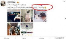 qq免费吃瓜网红圈,热门话题一网打尽
