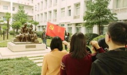 李芳在线观看,揭秘网络直播的魅力与挑战