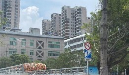 莆田体育中心最新爆料,最新爆料揭秘未来体育盛宴”