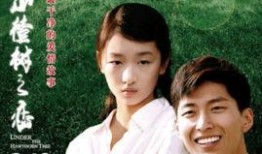 山楂树之恋在线观看,重温纯真年代的爱情传奇