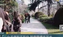 成都公园爆料事件始末视频,真相与争议的交织
