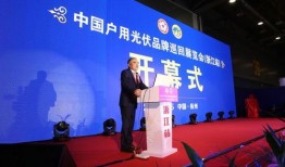 正泰学校最新爆料,揭秘校园风云背后的真相