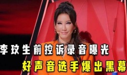 好声音最新选手爆料,幕后故事与精彩瞬间