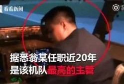 飞机副机长爆料视频播放,揭秘飞机紧急迫降背后的惊心动魄