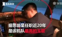 飞机副机长爆料视频播放,揭秘飞机紧急迫降背后的惊心动魄