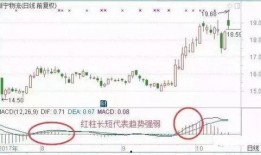 宁德日料爆料事件视频,揭露行业潜规则