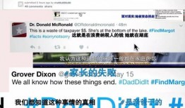 国内免费最大的吃瓜网站,最大吃瓜网站深度解析