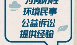 澎湃新闻怎样才能爆料成功呢,掌握技巧，助力真相发声