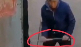 网友爆料侄子视频,侄子视频引发热议，背后真相令人震惊