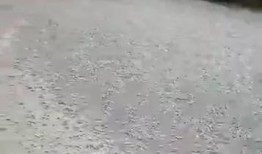 阳西新圩最新爆料事件,揭秘事件背后真相