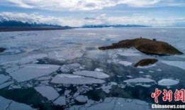 文蓝冰最新爆料,揭秘娱乐圈惊天秘密