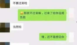 微信免费吃瓜聊天记录图文,揭秘网络社交的趣味与陷阱