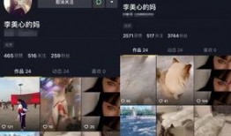 网红小号爆料怎么做的视频,揭秘网红小号爆料视频制作技巧