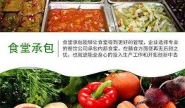配餐公司爆料怎么做的视频,独家视频曝光制作过程