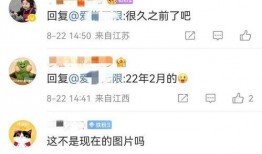 大粉爆料王鸥怀孕视频,王鸥喜怀二胎？大粉曝怀孕视频引发热议