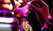 梦幻佳期在线观看,浪漫邂逅，在线见证爱情奇迹