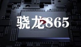 s11视频爆料,精彩瞬间与幕后故事大公开