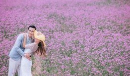 花海情缘在线观看,浪漫邂逅，谱写青春恋曲
