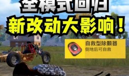 和平精英宝车皮最新爆料,神秘外观与独特性能大揭秘！