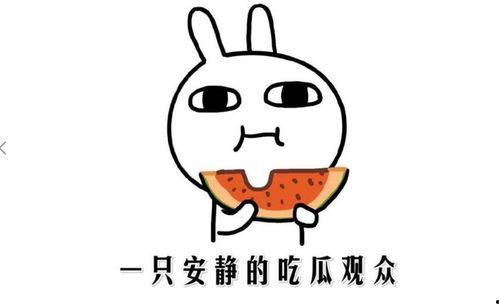 吃瓜表情是什么意思啊内涵图片,网络热图背后的幽默与内涵