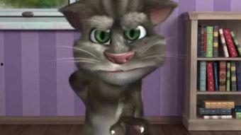 皮卡丘娱乐圈吃瓜,吃瓜群众眼中的萌宠明星