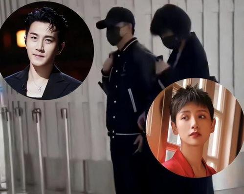 娱乐圈吃瓜小说一口气看完