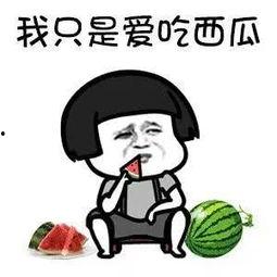 娱乐圈吃瓜动画片叫什么,揭秘“吃瓜”动画片的幕后故事