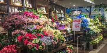 娱乐718吃瓜花店老板娘