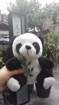 娱乐吃瓜酱大熊猫,揭秘大熊猫的趣味生活