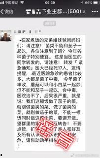 吃瓜大会完整版